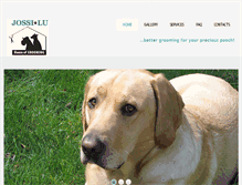 Tablet Screenshot of jossilu.com